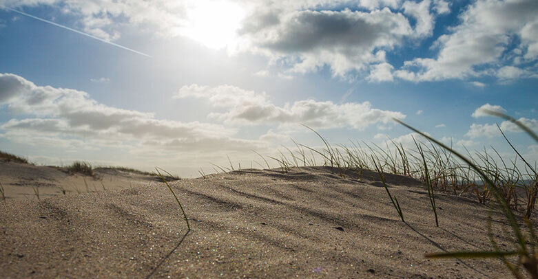 The Passion 2025 komt naar Terneuzen